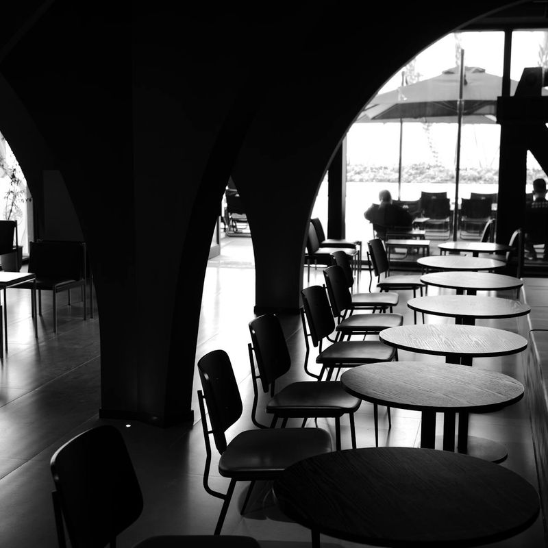 Bright and spacious workout area with plants and natural light